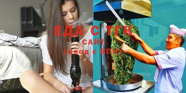 гидра Няндома