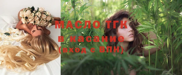 гидра Няндома
