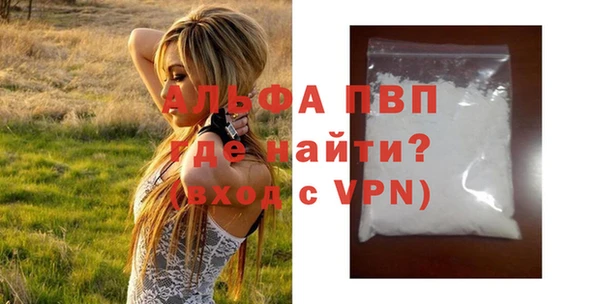 индика Нягань