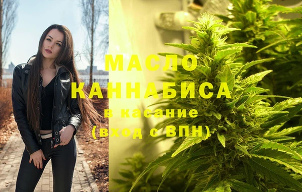 индика Нягань